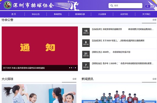 深圳市排球协会官网案例